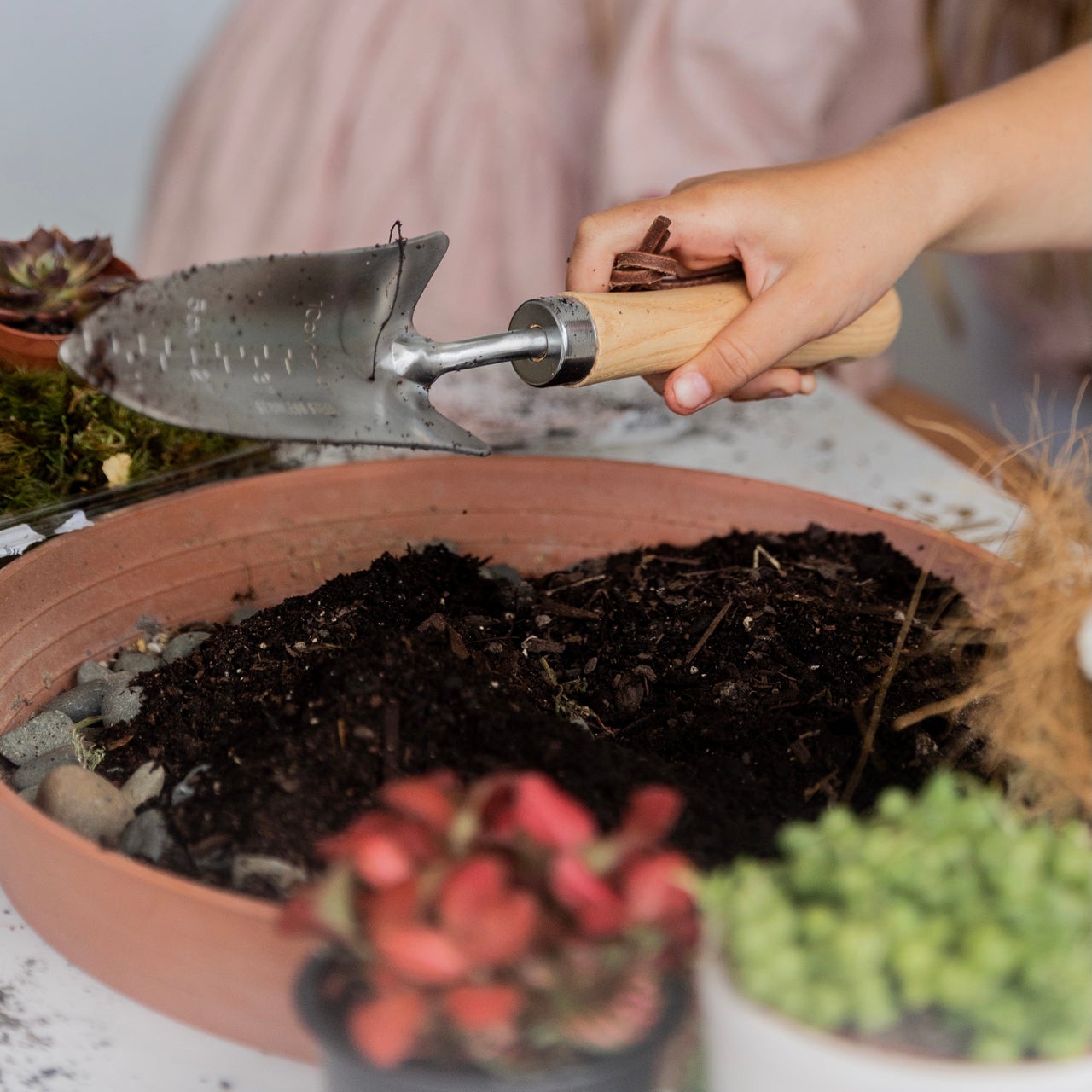 Make Your Own Fairy Garden