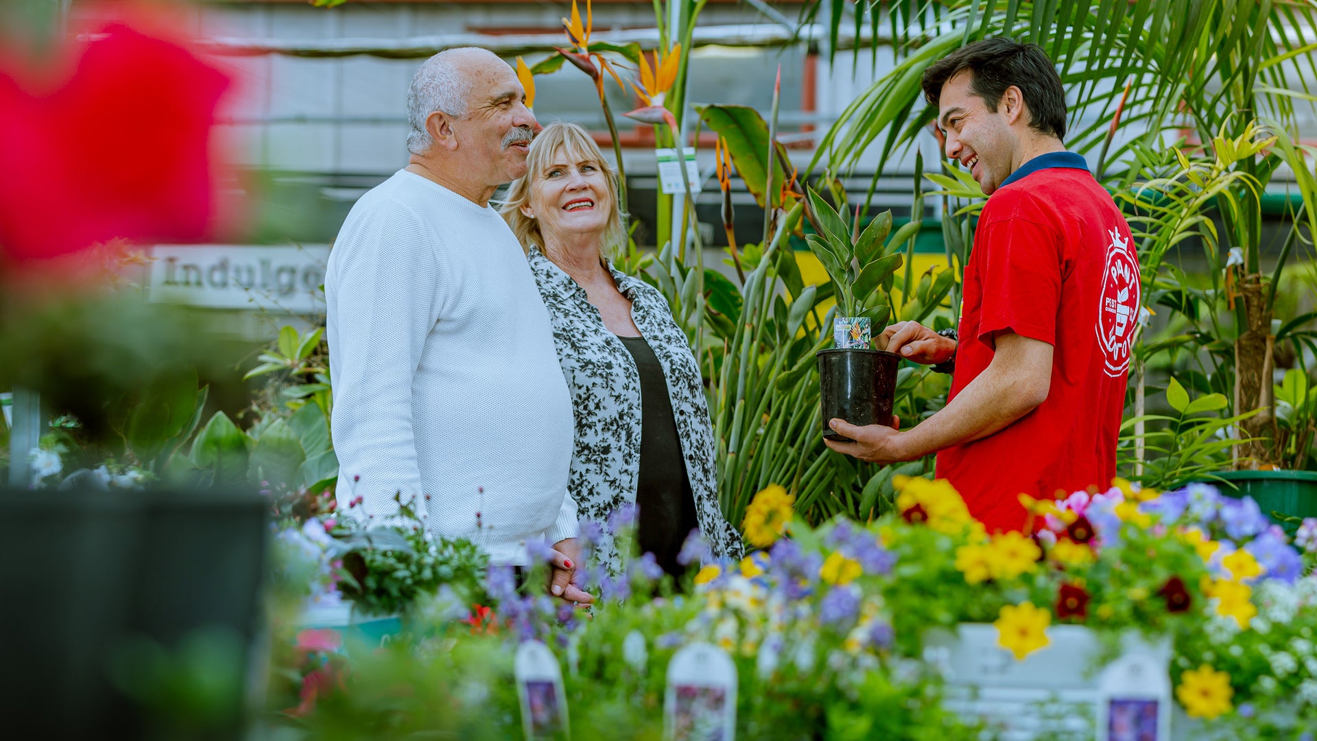 plant doctor home visit