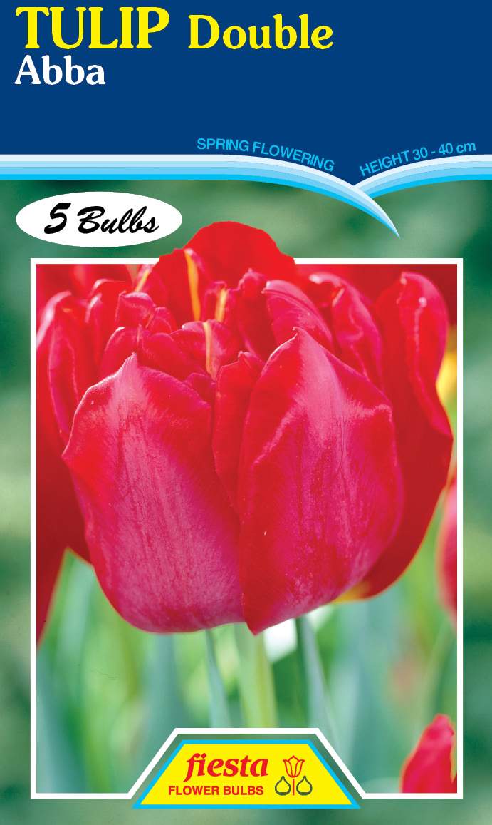 Tulip - Double Abba | Spring Bulbs | Kings Plant Barn | NZ Garden 