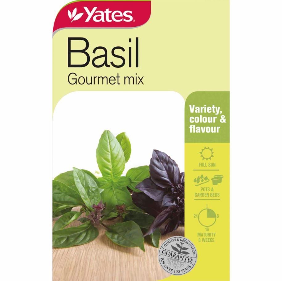 Yates Basil Gourmet Herb Seeds Kings Plant Barn NZ Garden